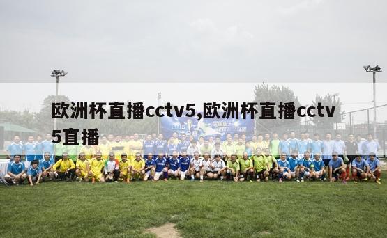 欧洲杯直播cctv5,欧洲杯直播cctv5直播