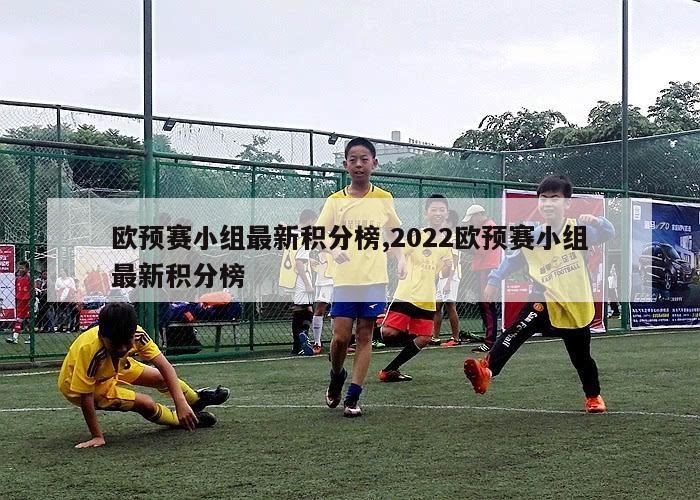 欧预赛小组最新积分榜,2022欧预赛小组最新积分榜