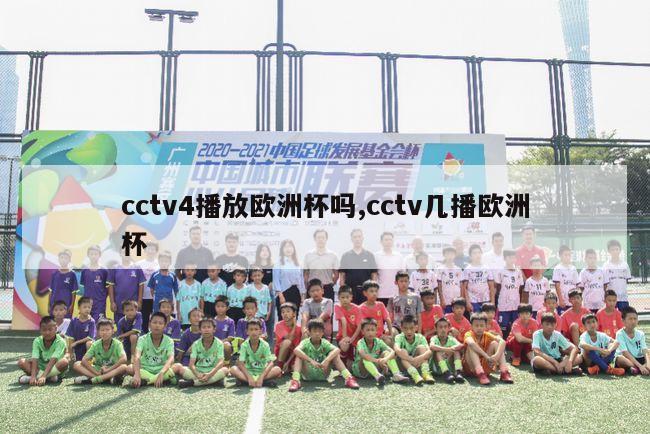 cctv4播放欧洲杯吗,cctv几播欧洲杯