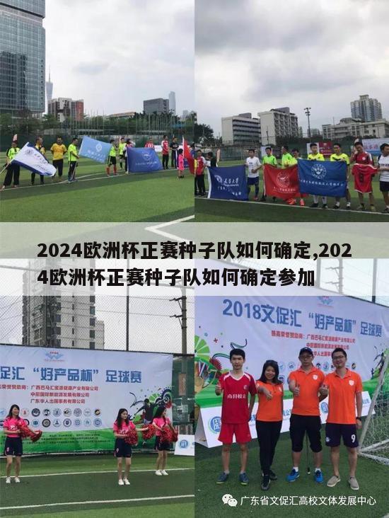 2024欧洲杯正赛种子队如何确定,2024欧洲杯正赛种子队如何确定参加