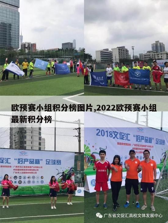 欧预赛小组积分榜图片,2022欧预赛小组最新积分榜