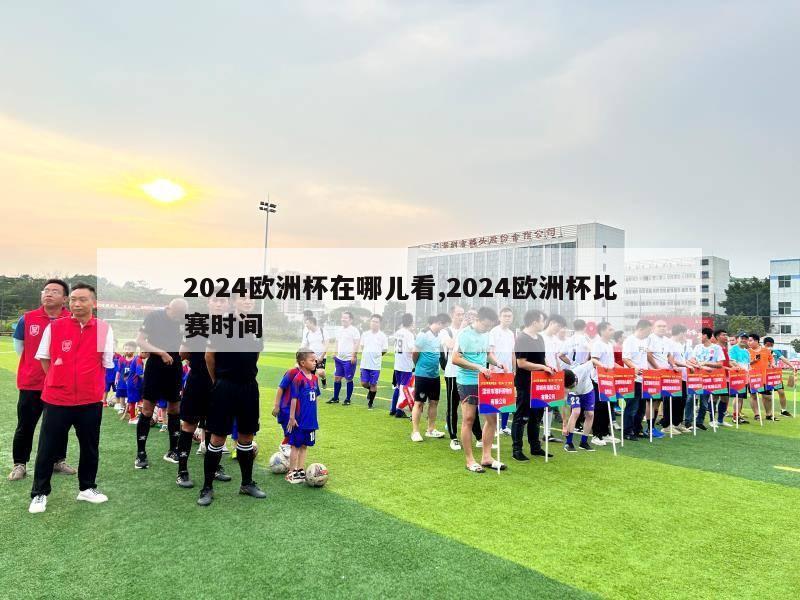 2024欧洲杯在哪儿看,2024欧洲杯比赛时间